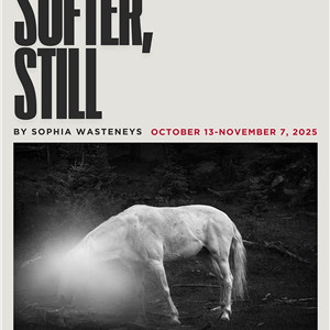 Image for: Softer, Still: Exhibition Opening