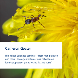 Cameron Goater.png