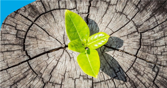 Screenshot 2026-01-16 160705.png