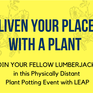 small.Liven up Your Place with Plants from LEAP.png