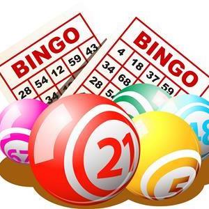 bingo-06.jpg