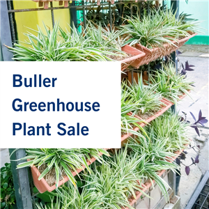 buller greenhouse (1).png