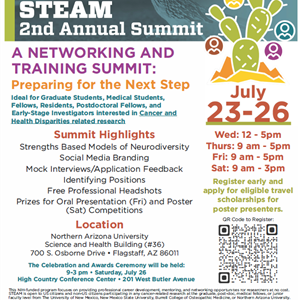 Image for: STEAM 2nd Annual Summit