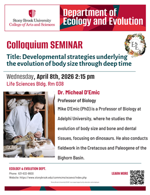 Stony Brook University - Summary