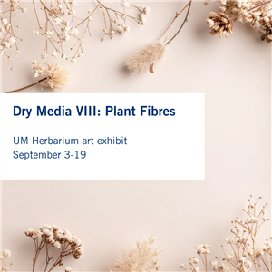 Dry media Viii.png