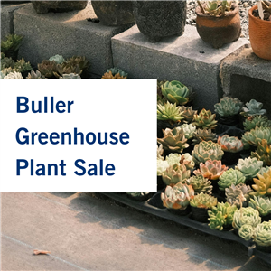 buller greenhouse.png