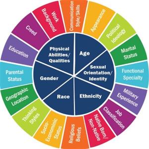 Learning & Development - The Diversity Wheel (NEA)