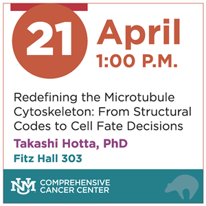 Image for: CMO Program Meeting - Redefining the Microtubule Cytoskeleton: From Structural Codes to Cell Fate Decisions