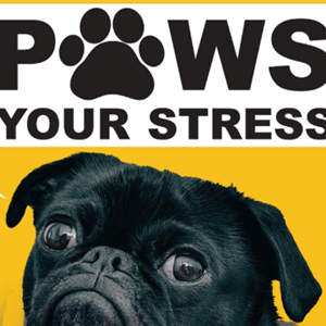 PAWS Your Stress.png