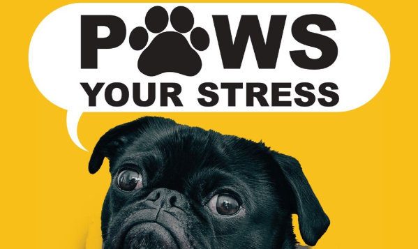 PAWS Your Stress.png