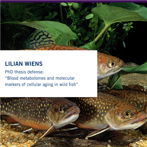 Lilian Wiens .png