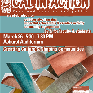 26-March CAL in action SP.png