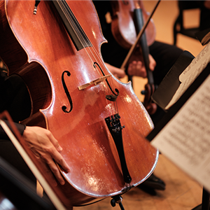 Image for: NM Chamber Music Festival: Faculty Concert