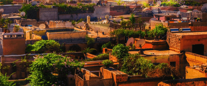rooftops-cropped.png
