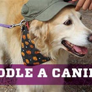 Image for: Cuddle a Canine