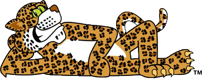 Lemmer Elementary School