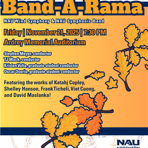21-Nov Bandarama social and print.png