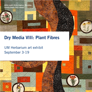 Dry media Viii.png