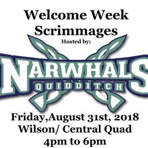 Narwhals Flyer