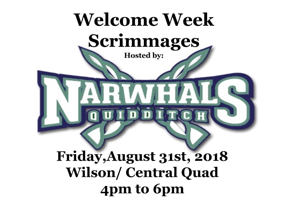 Narwhals Flyer