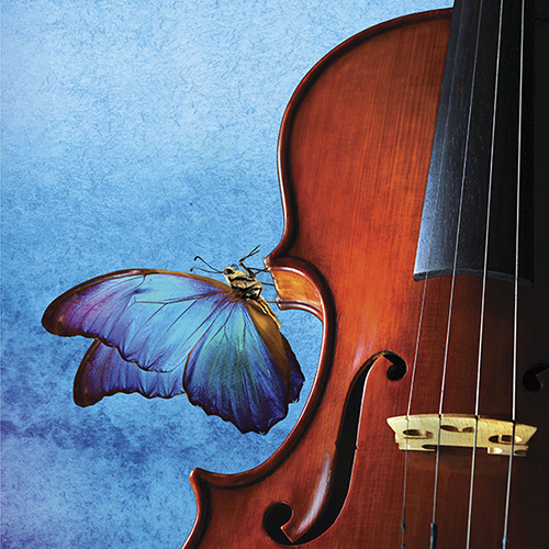 Staller Center SBSO Staller Center presents Staller Center SBSO Staller Center presents