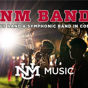 Image for: UNM Bands