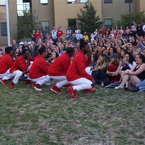 MGCShowcase.jpg