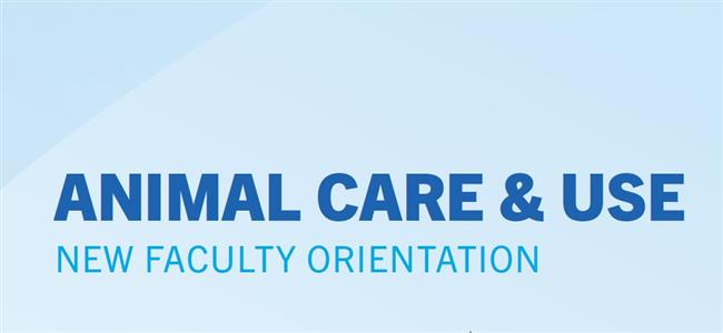 Animal Care Image.jpg