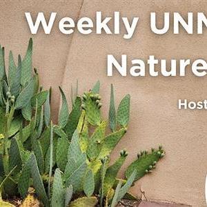 Image for: Weekly UNM Nature Walk