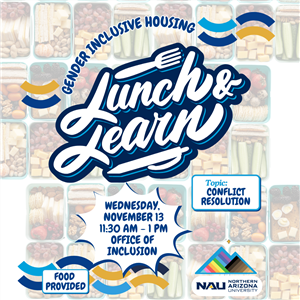 2024.11.13 Lunch & Learn Conflict Resolution IG Post.png