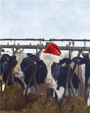 Santa on the Farm.png