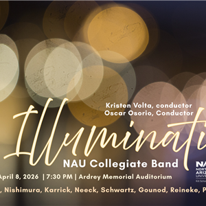 8-April illuminations FINAL.png