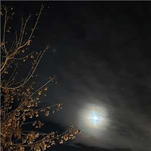 Indigenous - Full Moon Ceremony
