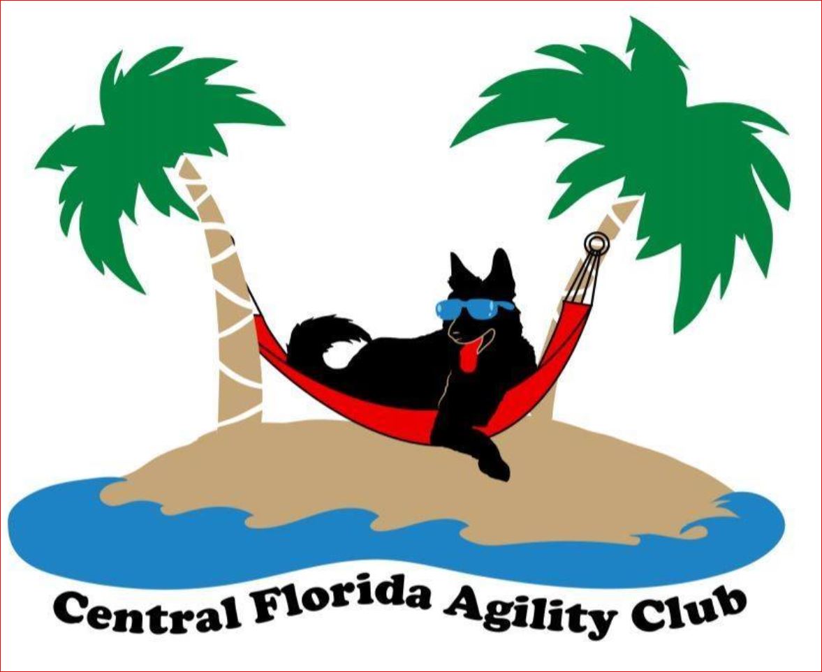 the agility club