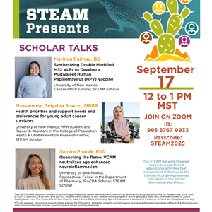 Image for: STEAM Webinar - Scholar Talks