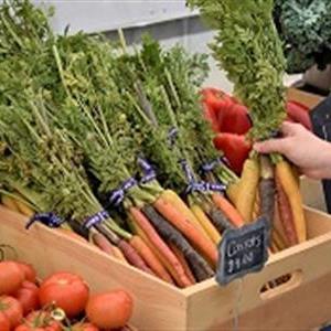 Carrots at Open-Air Market