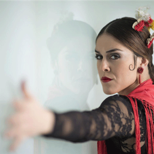 Image for: Flamenco Dance/Music Workshops at Festival Flamenco Alburquerque