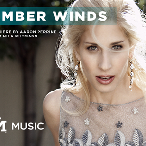 Image for: Chamber Winds