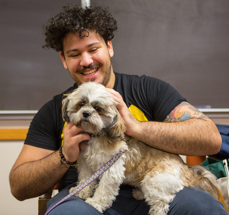 dog therapy music for stress