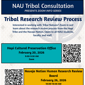 Tribal Research Webinar Series Instagram.png