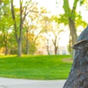 Image for: MS in Project Management Virtual Info Session