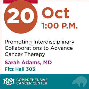Image for: CMO/CT Program Meeting - Promoting Interdisciplinary Collaborations to Advance Cancer Therapy