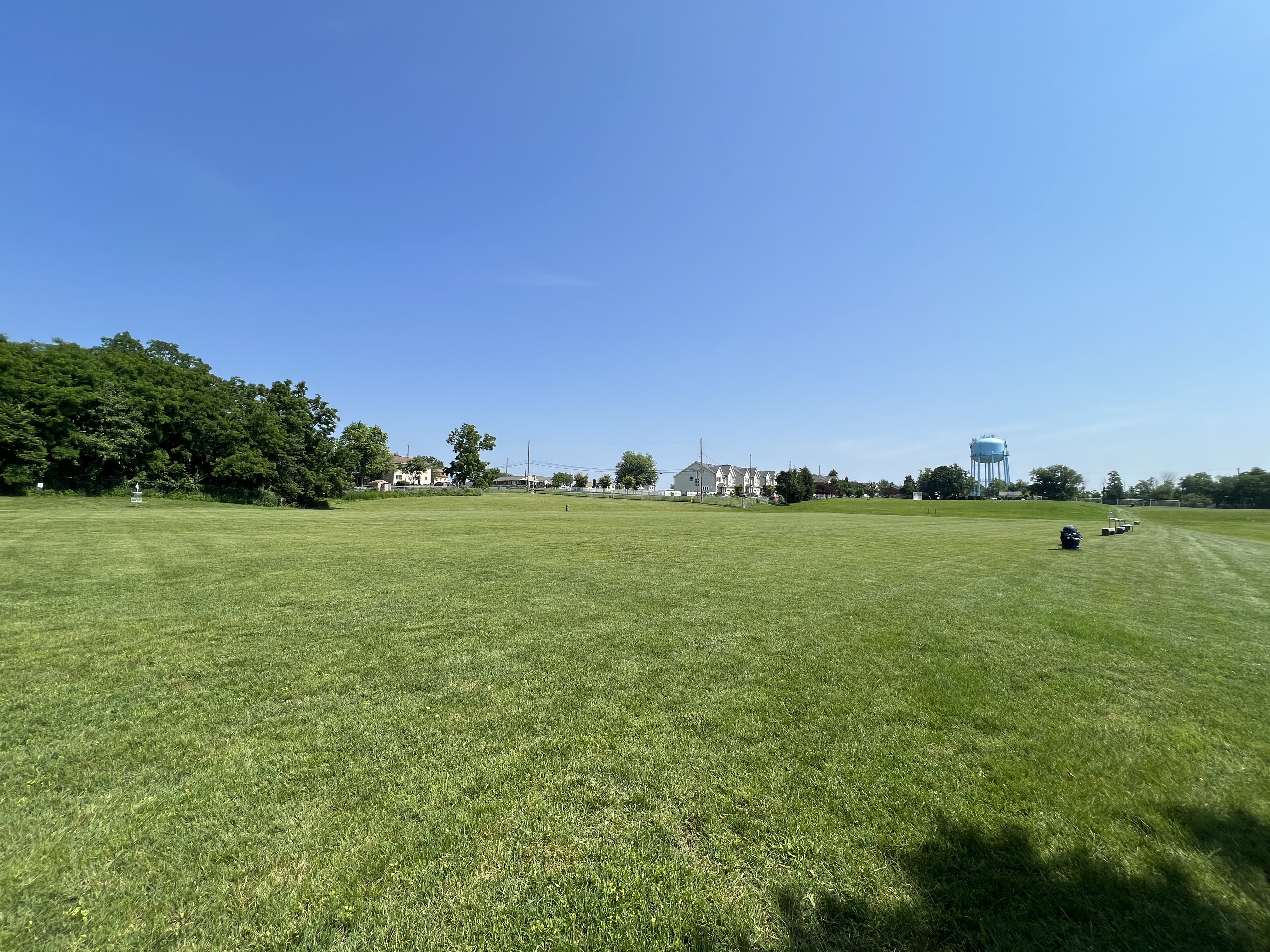 West Grass Fields.jpg