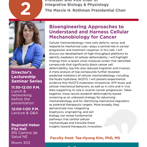 Image for: Director's Lectureship Seminar Series - Amy Rowat, PhD