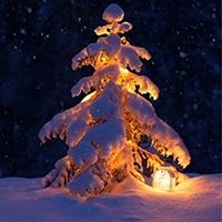 Holiday Thumbnail_FullTree25.png