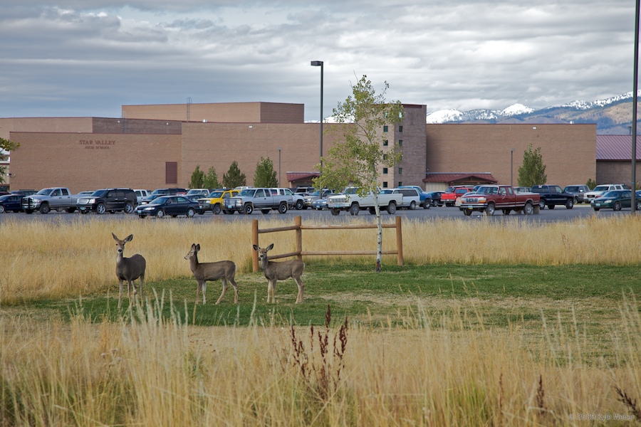 SVHS Building.jpg