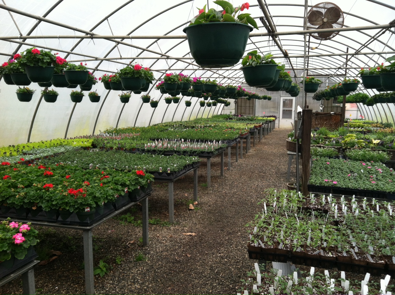 Spartanburg Community College SCC Horticulture Spring Plant Sale