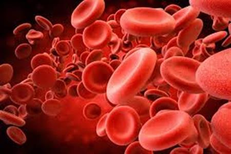 Image result for blood