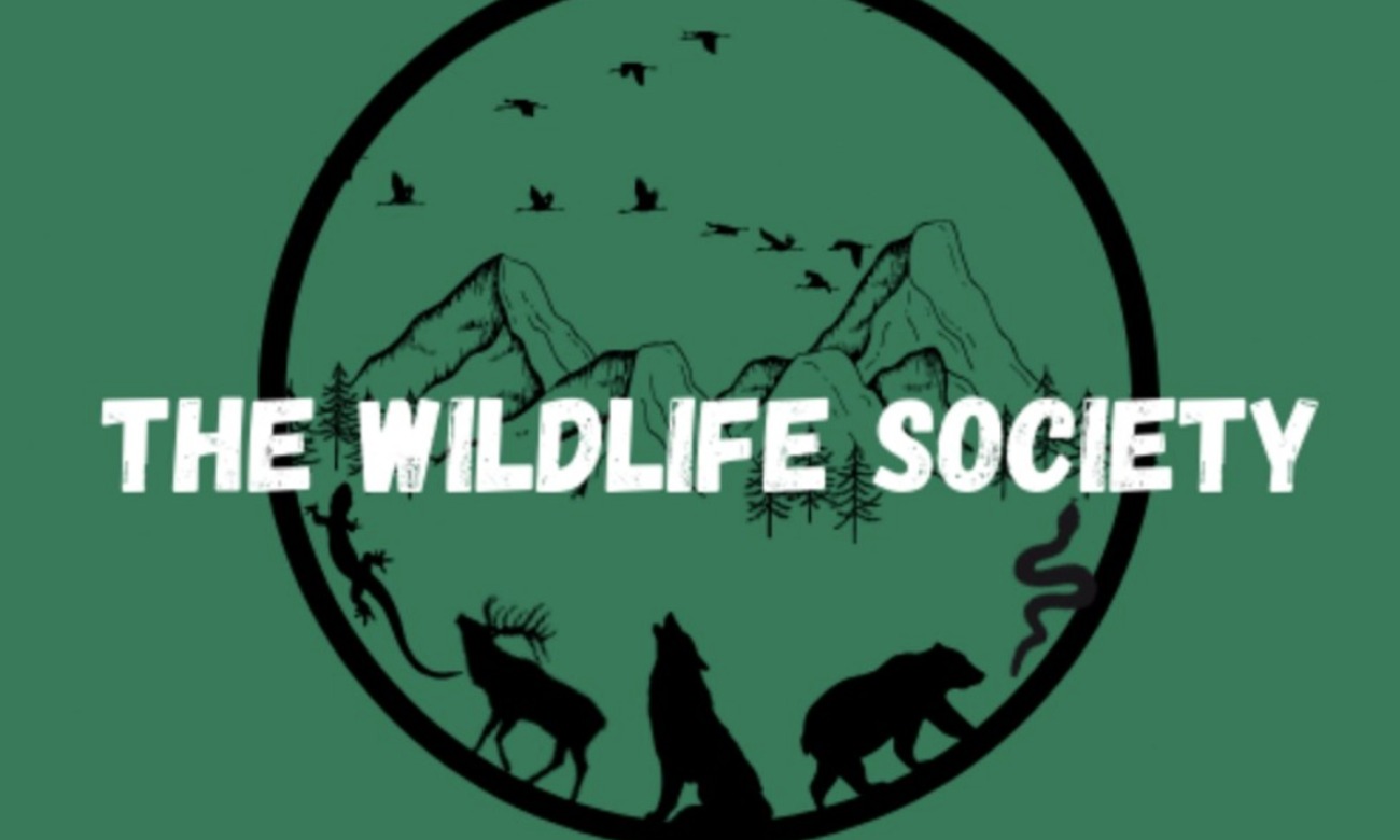 The Wildlife Society Meeting.png