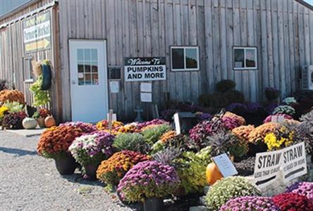 Visit Indiana Haunted Barn